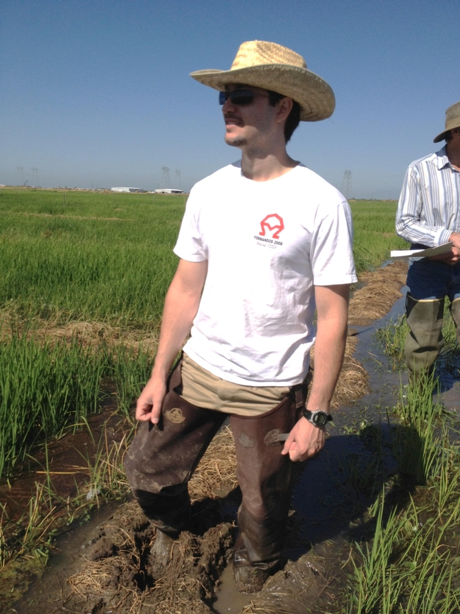 UC Davis graduate student--Rafael Pedroso--in a rice field
