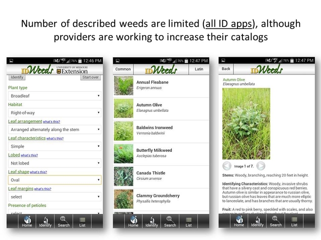 ID Weeds App 2