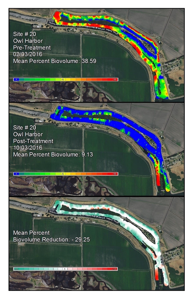 Figure 3. Pre and post-treatment biovolume maps and change detection for Owl Harbor (Site 20). The biovolume color scale ranges from 0% (blue) to 100% (red) at 5% increments. The change detection color scale ranges from 100% reduction (teal) to no change (white) to 100% increase (red) at 10% increments.