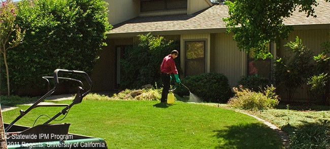 Maintenance gardener spraying lawn and landscape area.