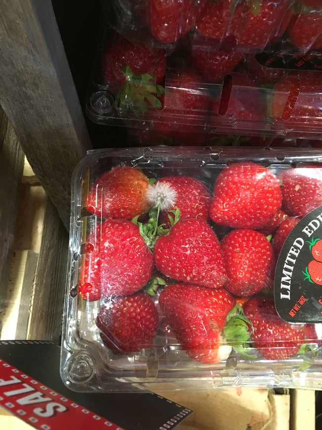 Weed seedling in packaged strawberry