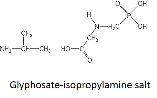 Glyphosate formulations - what's the diff (and what's a salt)? - UC Weed  Science - ANR Blogs