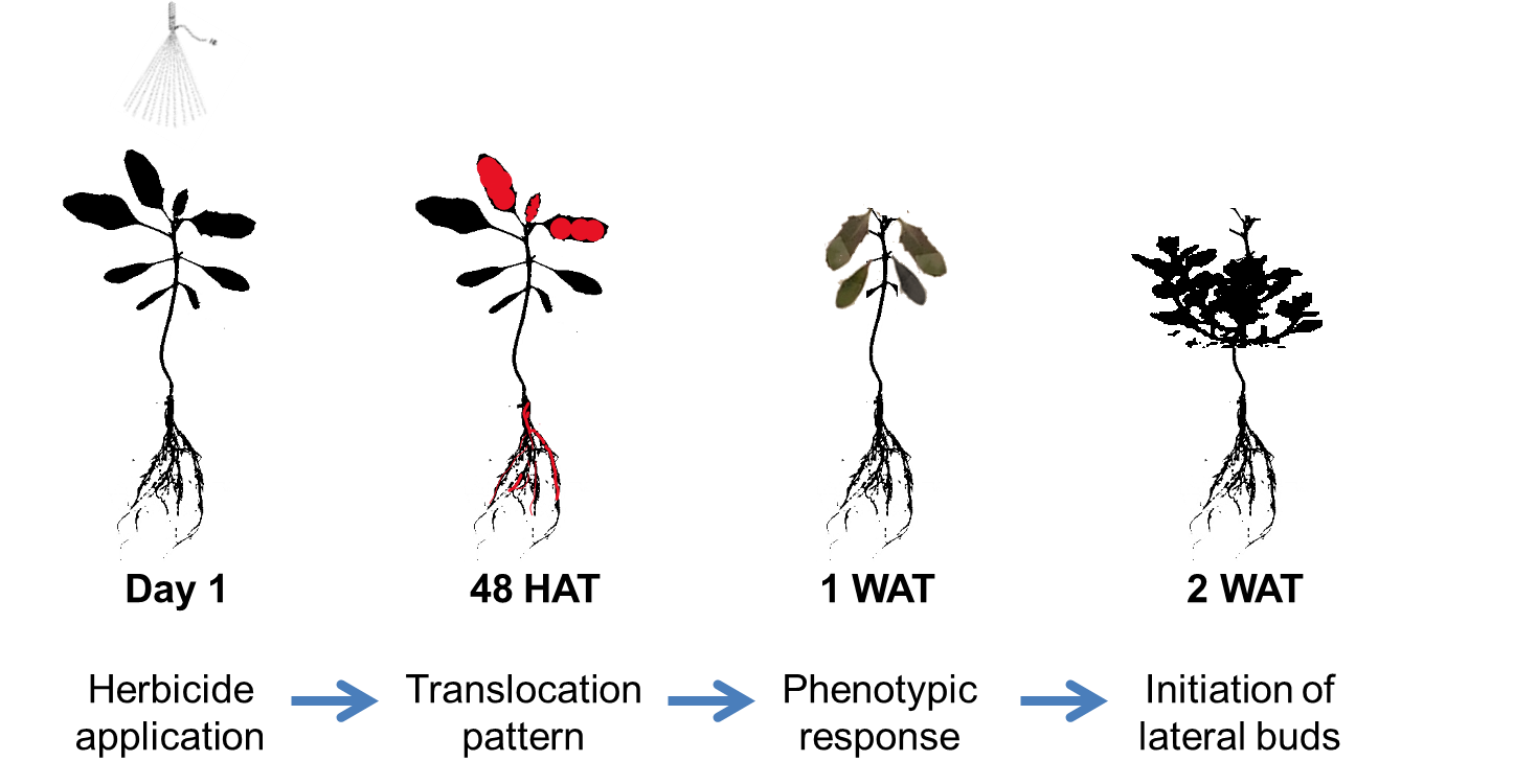 Will Climate Change Affect The Sensitivity Of Weeds To Herbicides? - UC ...