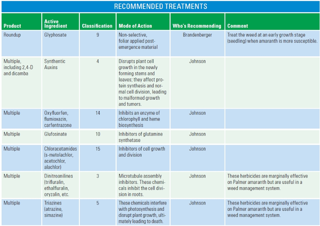 Table: Recommended treatments
