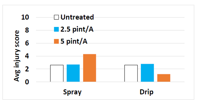 Figure 3. Injury scores (scale: 1=none to 10=dead) after drip or spray application of Pronamide (Kerb) at Santa Paula, CA.