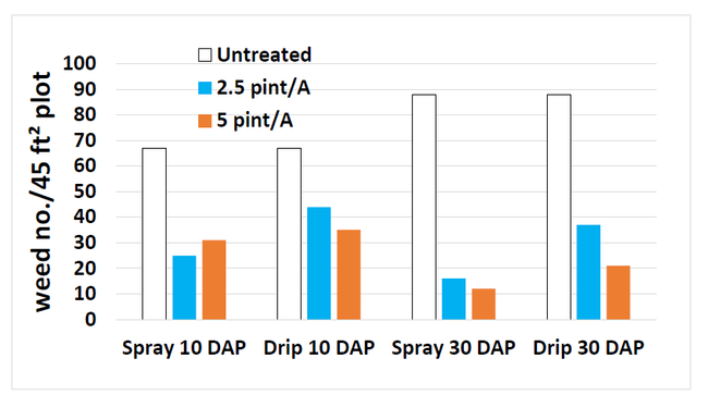 Figure 2. Pronamide (Kerb) effect on weed densities when applied as spray or via drip tape at Santa Paula, CA. No significant differences were observed between rates or application methods (P=0.38 and P=0.22) but both significantly reduced weed number (P=0.001)