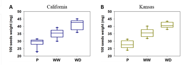 Figure 2. Differences in 100 seeds weight between parental (P) and progenies of two Palmer amaranth populations [California (A) and Kansas (B)] grown under continuous water-deficit (WD) or well-watered (WW) conditions.