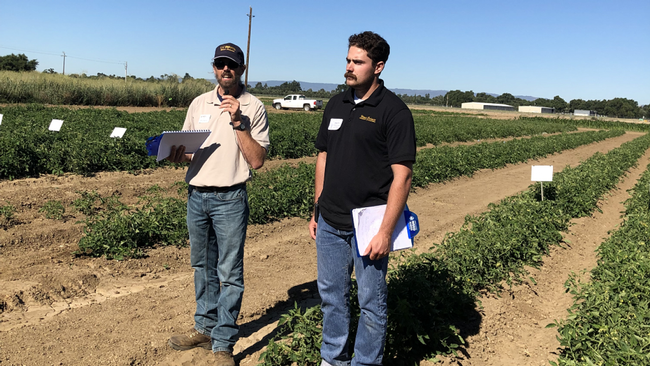 Brad Hanson and Matt Fatino, UC Davis Plant Sciences, address the concerns about branched broomrape (parasitic weed) potentially getting into tomato fields, and how it might be controlled. At Weed Day, 2019. (photo Ann Filmer/UC Davis)