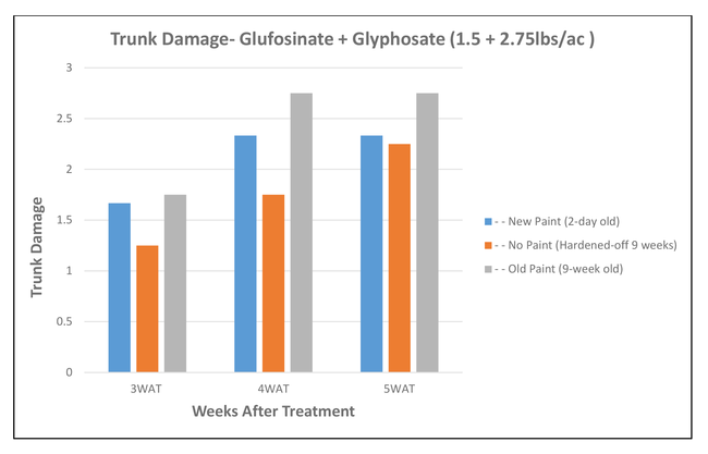Trunk damage--glufosinate + glyphosate (1.5 + 2.75lbs/ac)