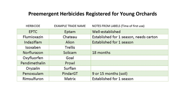 Preemergent herbicides registered for young orchards