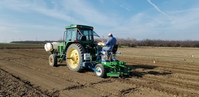 Planting garbanzos for a research trial at UC West Side REC in the San Joaquin Valley, 2020.
