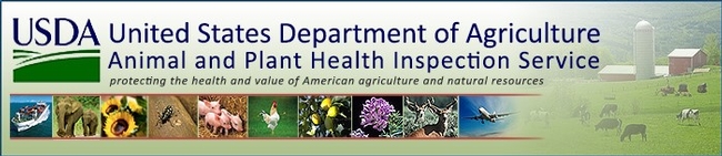 USDA APHIS header