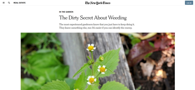 The New York Times article 