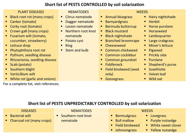 Short list of PESTS CONTROLLED by soil solarization