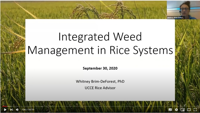 Integrated Weed Management in Rice Systems presentation by Whitney Brim-DeForest