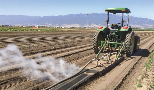 After testing steam treatments in three Salinas Valley trials this year, UC Cooperative Extension specialists say they believe the technique can significantly reduce weed pressure in lettuce and spinach fields, and can cut hand-weeding time. Photo/Courtesy Steve Fennimore, UCCE/UCD