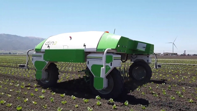 Photo 1. Naio Dino autonomous platform equipped with finger weeders