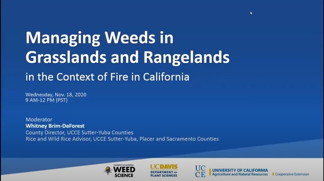 Managing Weeds in Grasslands and Rangelandsin the Context of Fire in California