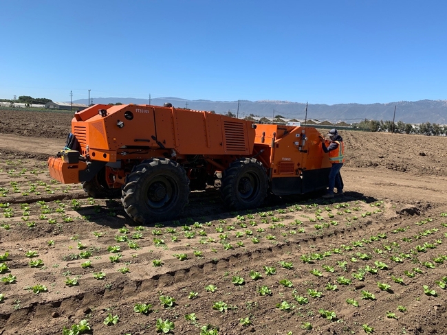 Photo 1. FarmWise Titan autonomous tractor equipped with split knives; it currently does not operate fully autonomously due to Cal OSHA regulations.