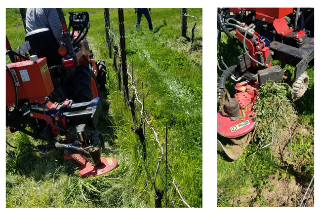 Figure 3. Excessive plant biomass blocking movement of the rotary tiller (left) and the sensor bar (right).