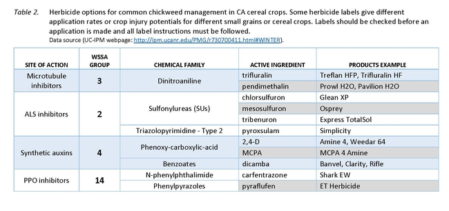 Table 2. Herbicide options for common chickweed management in CA cereal crops. Some herbicide labels give different application rates or crop injury potentials for different small grains or cereal crops. Labels should be checked before an application is made and all label instructions must be followed. Data source (UC-IPM webpage: http://ipm.ucanr.edu/PMG/r730700411.html#WINTER).