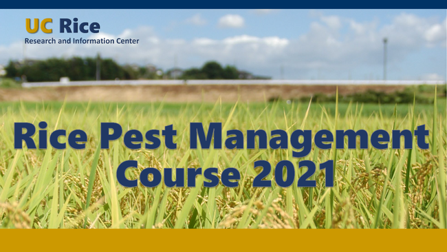 UC Rice Pest Management Course 2021 eventbanner