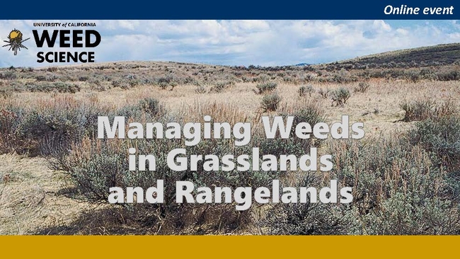 Managing Weeds in Grasslands and Rangelands banner