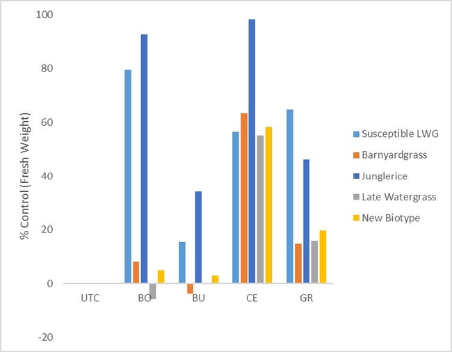 Figure 3. Average percent control compared to untreated control by fresh biomass at 14 Days After Treatment of 2 known susceptible late watergrass populations (Susceptible 1 and Susceptible 2), and 64 unknown watergrass populations, separated by species (UTC = Untreated Control, BO = Bolero, BU = Butte, CE = Cerano, GR = Granite GR)