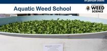Aquatic Weed School for UC Weed Science Blog