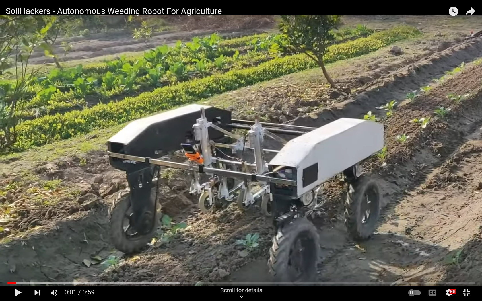 Human Hus Distraktion Low tech smart weeder - UC Weed Science - ANR Blogs