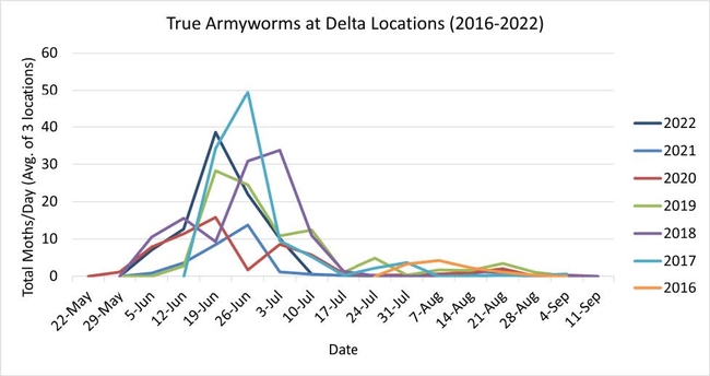 Figure 2. Delta true armyworm trap counts, 2016-2022. In 2022, trap counts were the highest since 2017 and the peak flight occurred about one week earlier than in 2017.