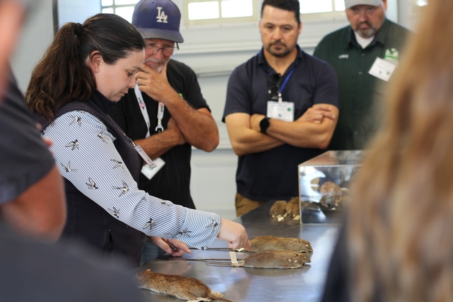 WCRA participants learning about rodent identification from Niamh Quinn, CE Advisor, who is holding a rat specimen in her hand