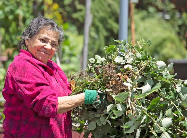 Participant helping with garden clean up