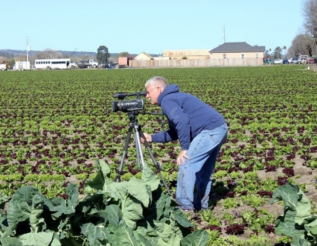 UC ANR Cropping Systems Cooperative Extension Specialist, Jeff Mitchell, filming weed management techniques in vegetable crop production in Salinas, CA for 26-episode vegetable video series