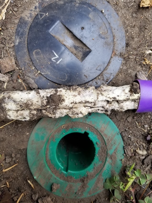 A round, black bait station in the ground above a round, green bait station with a white tube in-between them.