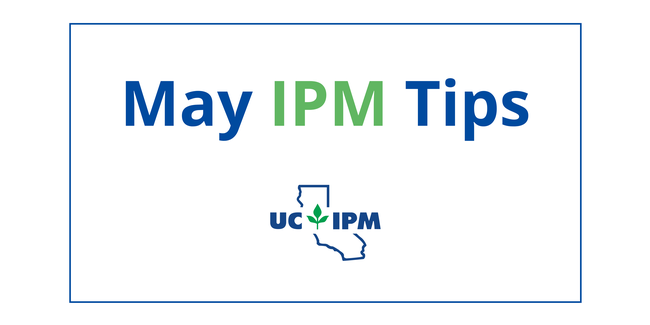 May IPM tips