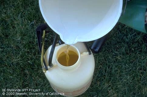 A white bucket of clear liquid being poured into a smaller container.