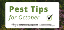 Pest prevention tips for October. for Pests in the Urban Landscape Blog