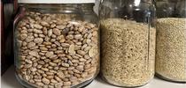 Grains stored in glass jars to prevent pantry pest infestations. Photo by Karey Windbiel-Rojas, UC IPM. for Pests in the Urban Landscape Blog