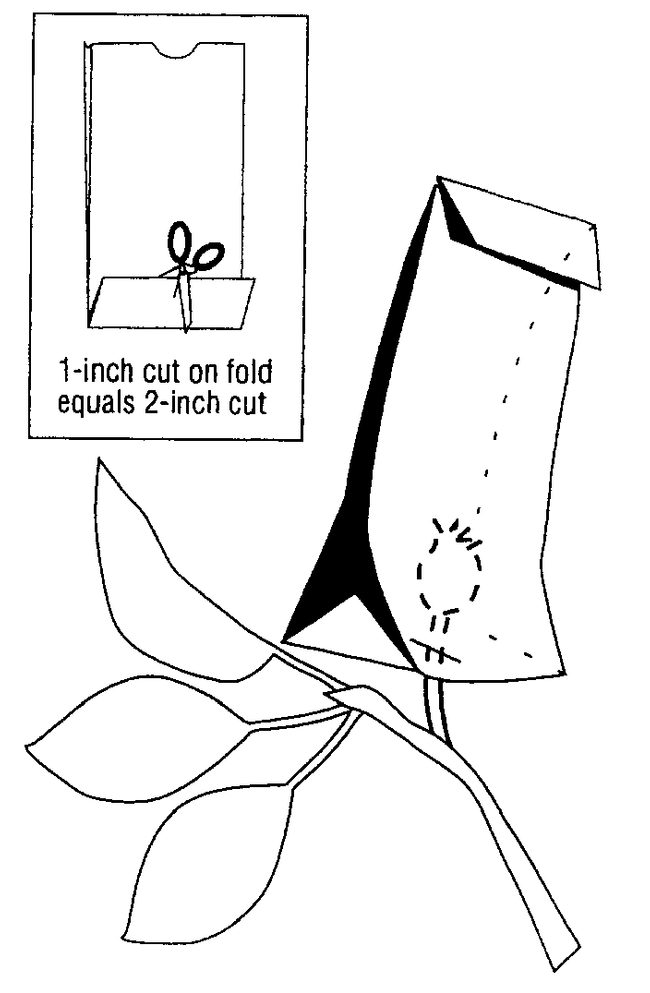Figure 4. Small fruit may be protected with paper bags.
