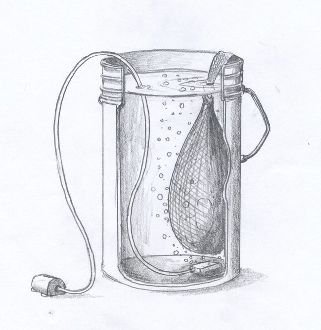 Typical aerated compost tea set up. Compost is placed in cheesecloth or burlap bag and immersed in a container of water until the water becomes dark. Water may be aerated with an aquarium pump as shown here or produced without aeration. (Drawing by David Nessl, UC IPM)