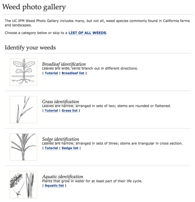 Figure 1. Weed Photo Gallery home page.
