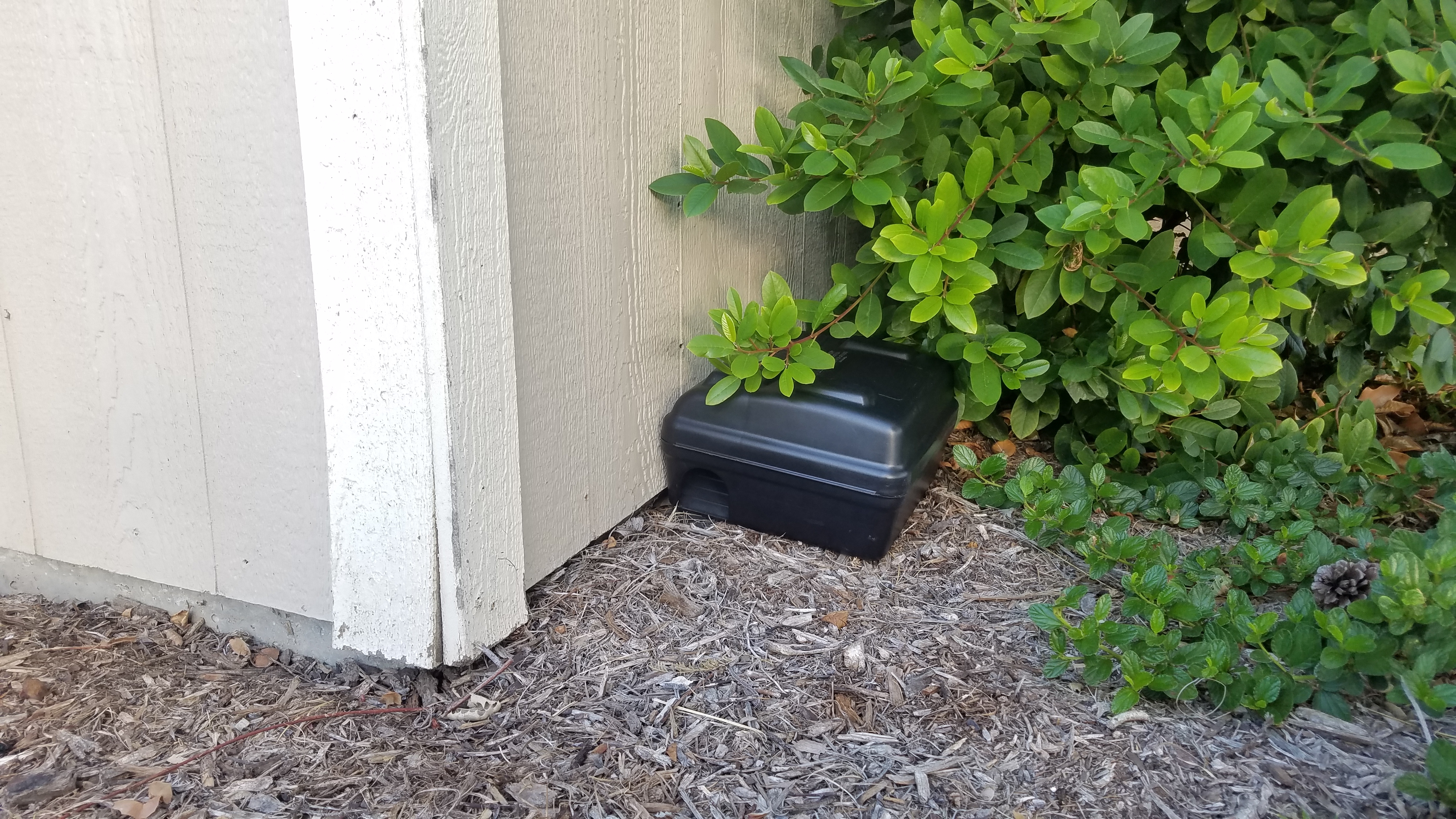 Rats and Mice: How to Manage Using Snap Traps - Pests in the Urban  Landscape - ANR Blogs