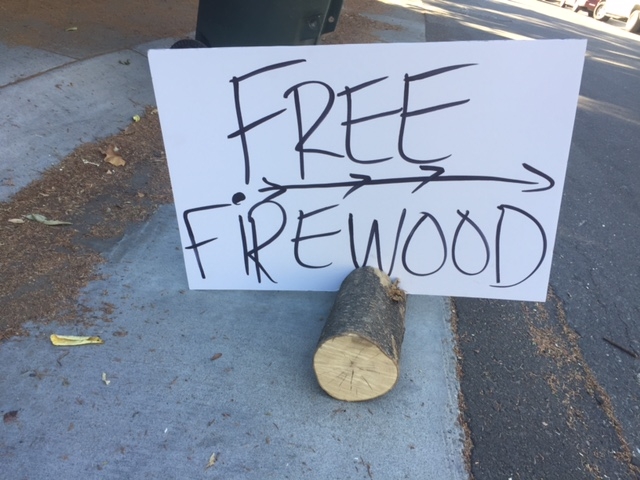 Figure 3. Untreated cut wood should not be left on the curbside for free pick-up. (Credit: Karey Windbiel-Rojas)