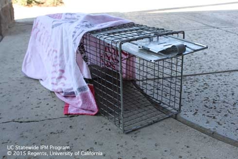 Traps and barriers for keeping pests out - Pests in the Urban Landscape -  ANR Blogs