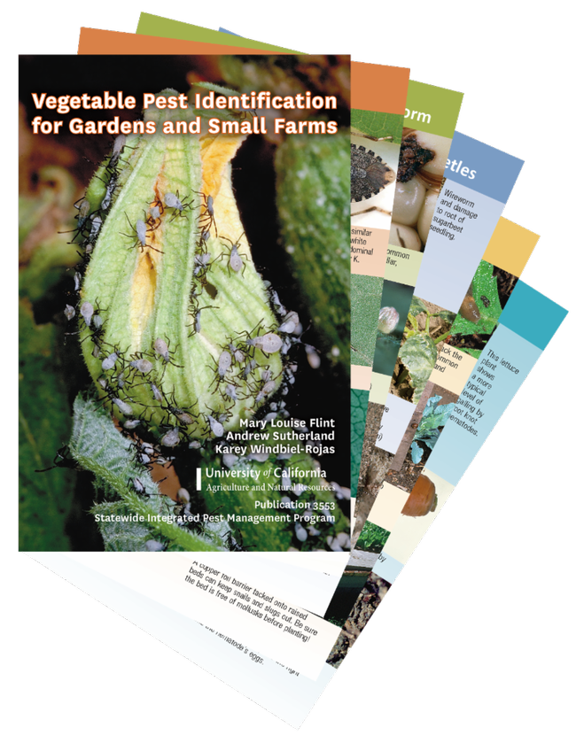 Vegetable Pest Identification cards
