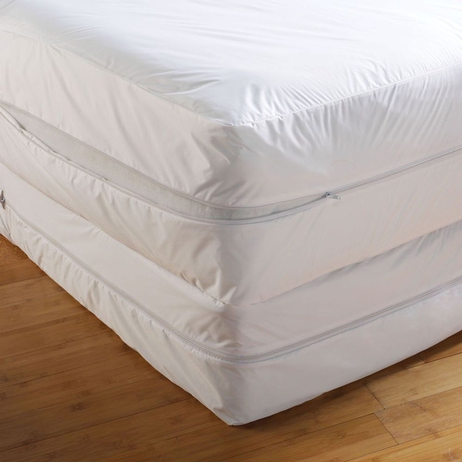 Bed Bug Mattress Encasement (Courtesy of Overstock.com)