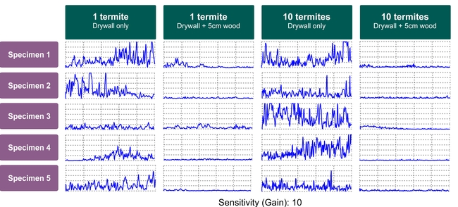 Figure 3: Termatrac's signal output for different termite densities and different depths. Higher termite densities do not always create a noticeably stronger signal.