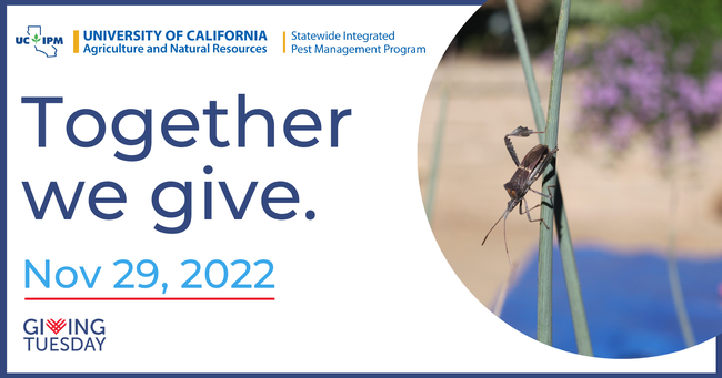 Together we give. Giving Tuesday 2022.