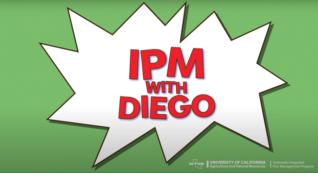 IPM with Diego graphic.